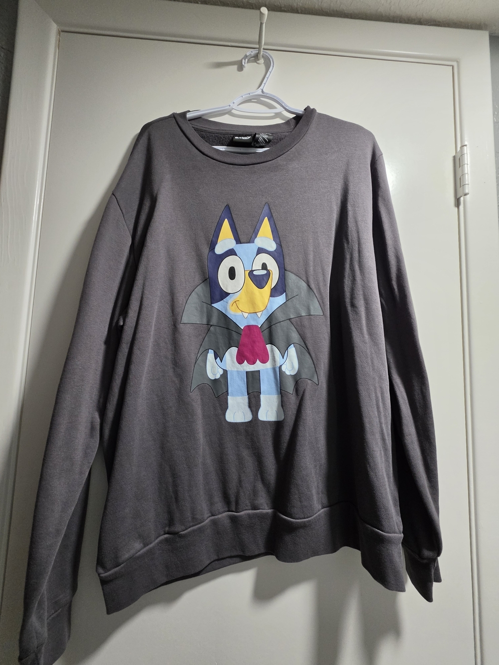 Bluey Lucy Men's Charcoal Graphic Crewneck Sweatshirt with Blue Character